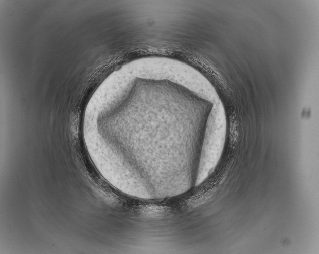 X0000096180593200802151443