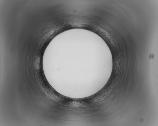 X0000096180596200802151443
