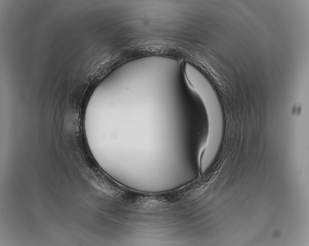 X0000096180597200802151443