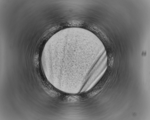 X0000096180599200802151443