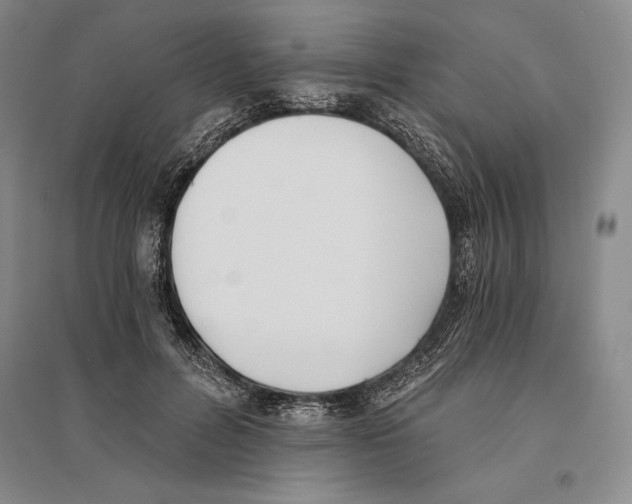 X0000096180600200802151443