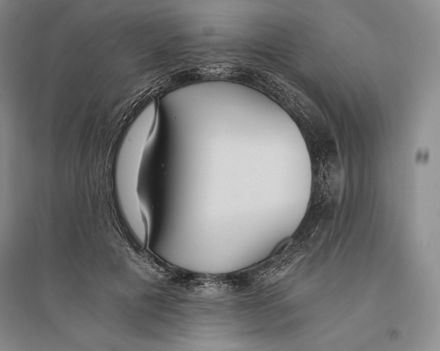 X0000096180601200802151443