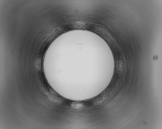 X0000096180602200802151443