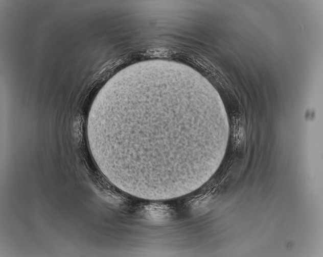 X0000096180603200802151443