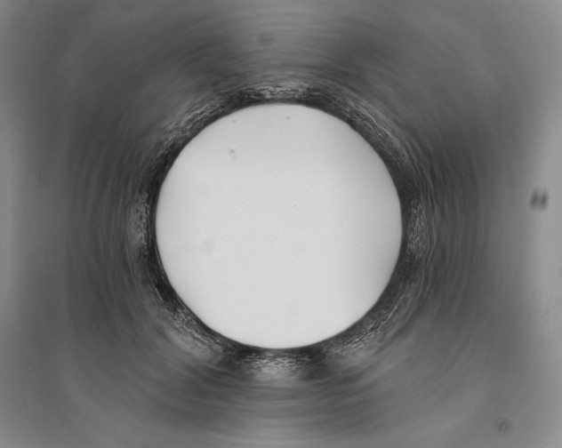 X0000096180604200802151443