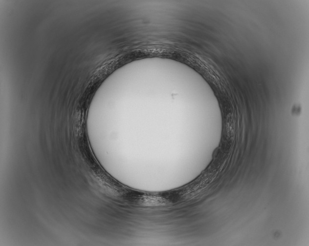 X0000096180605200802151443
