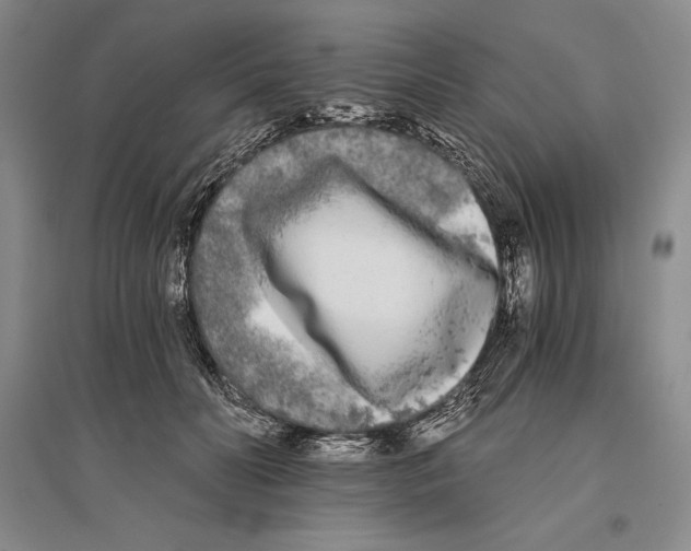 X0000096180606200802151443