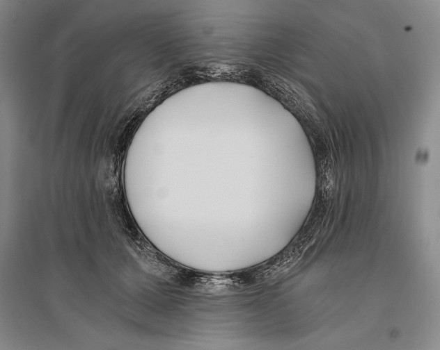 X0000096180607200802151443