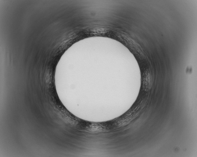 X0000096180608200802151443