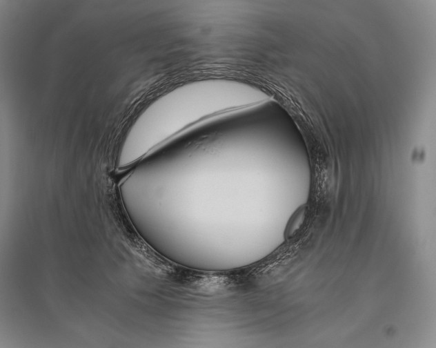 X0000096180609200802151443