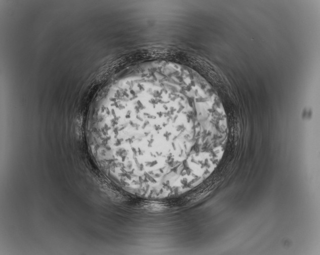 X0000096180610200802151443