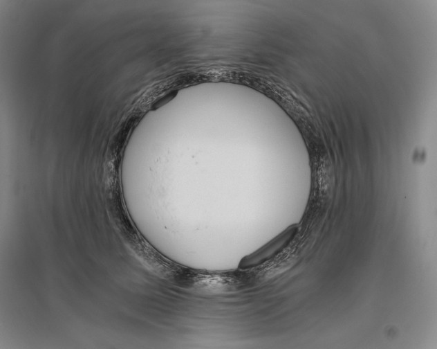 X0000096180611200802151443