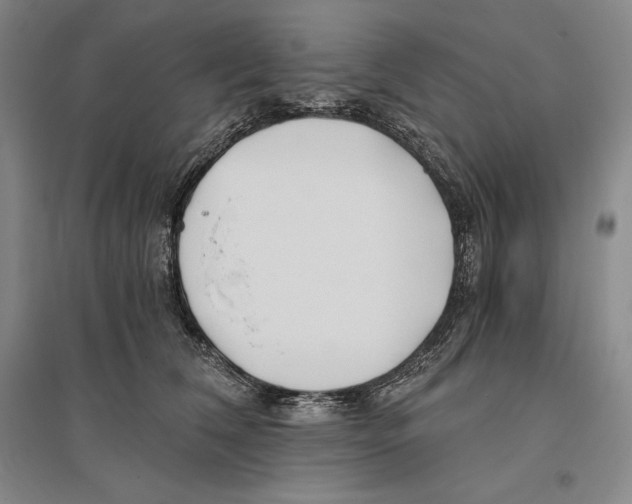X0000096180612200802151443