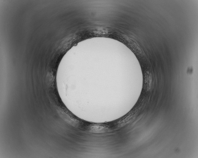 X0000096180614200802151443