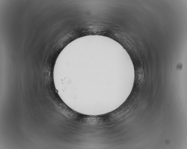 X0000096180615200802151443