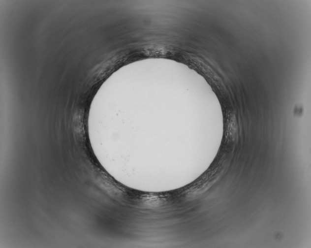 X0000096180616200802151443