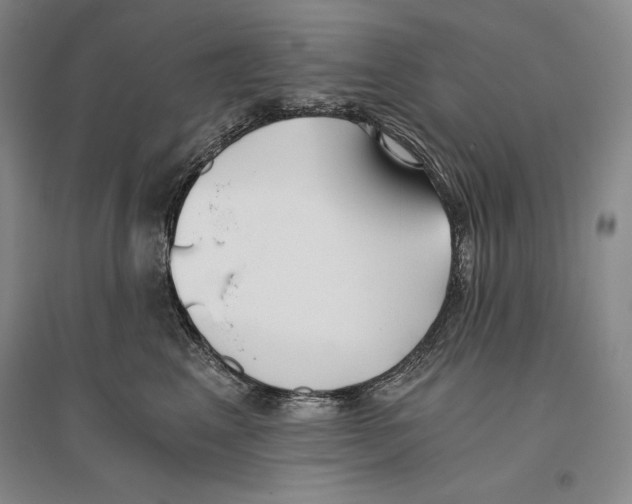 X0000096180617200802151443