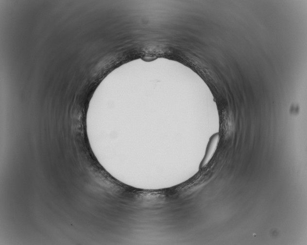 X0000096180619200802151443