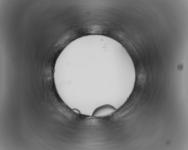 X0000096180620200802151443