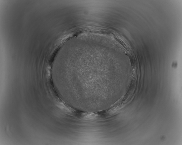 X0000096180621200802151443
