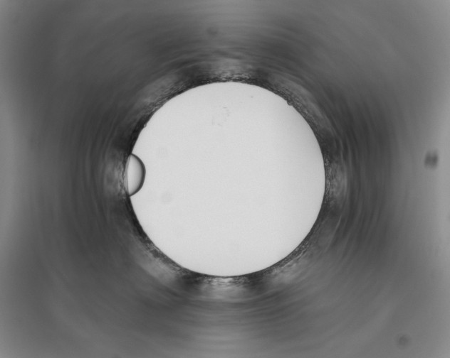 X0000096180622200802151442