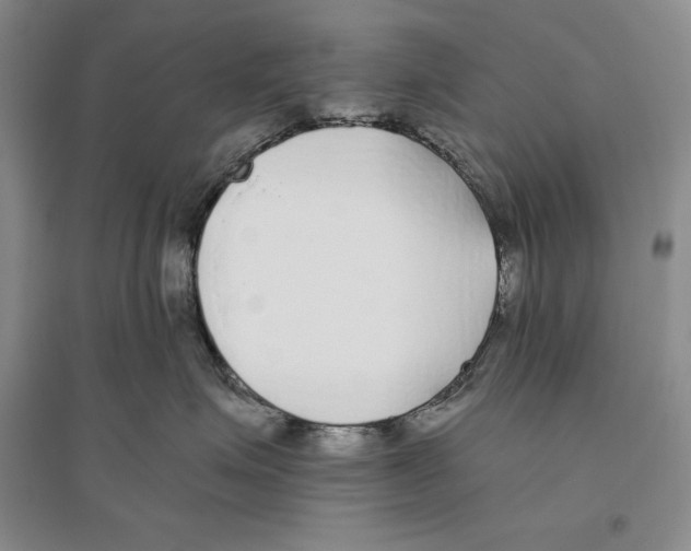 X0000096180623200802151442