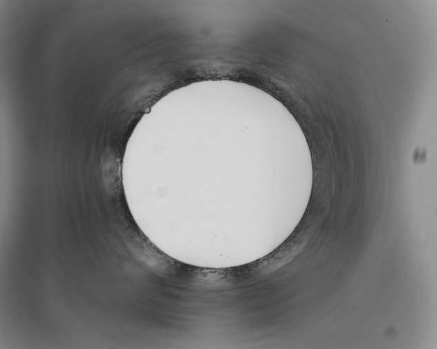 X0000096180624200802151442