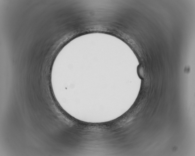 X0000096180625200802151442