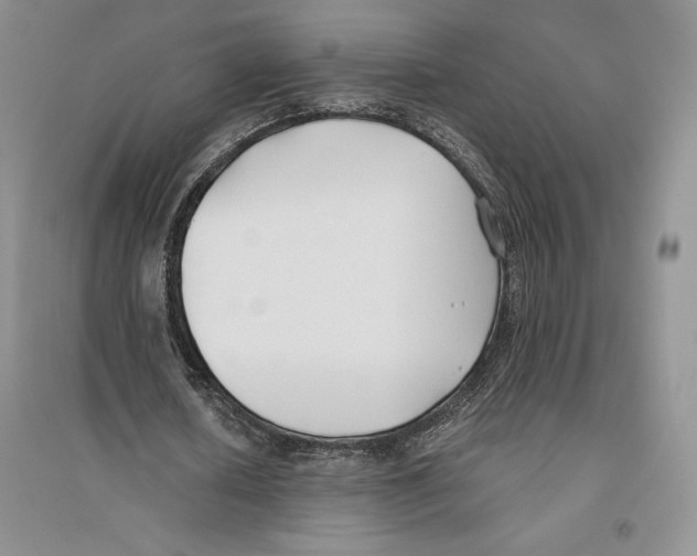 X0000096180626200802151442