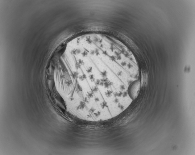 X0000096180627200802151442