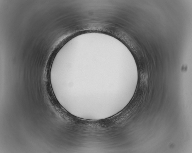 X0000096180628200802151442