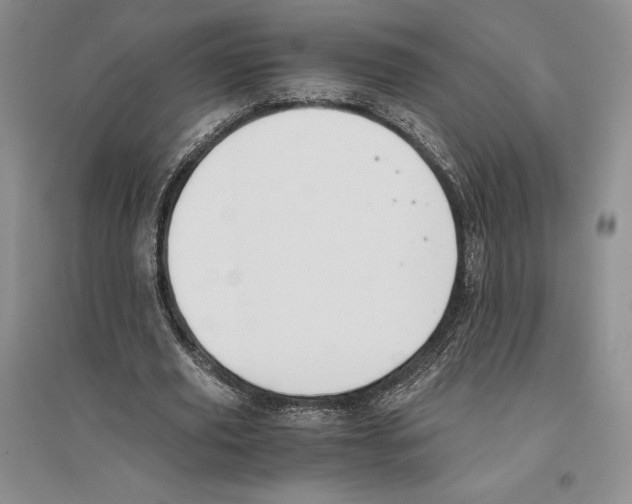 X0000096180629200802151442