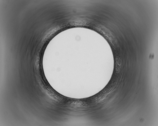 X0000096180631200802151442