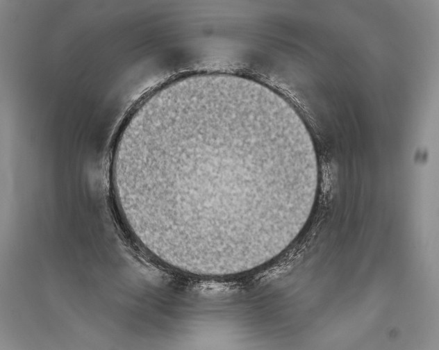 X0000096180632200802151442