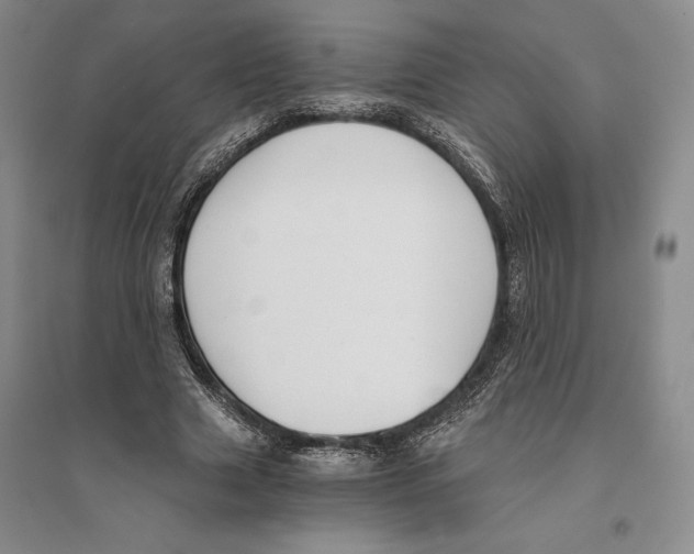 X0000096180633200802151442