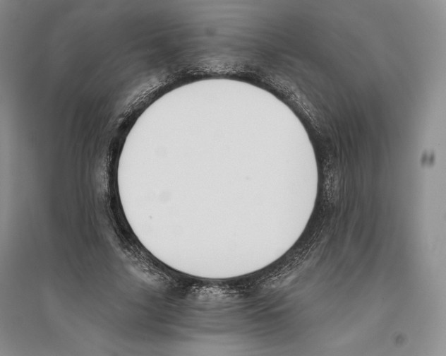 X0000096180635200802151442