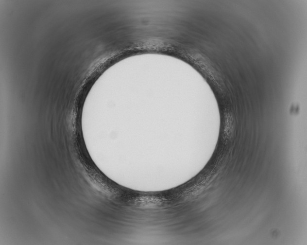 X0000096180636200802151442