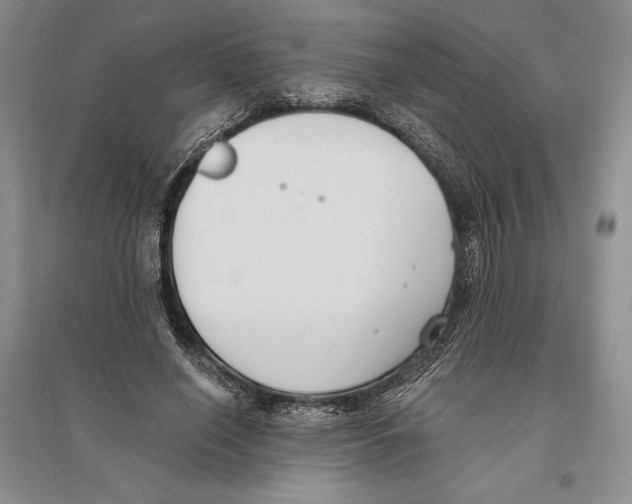 X0000096180638200802151442