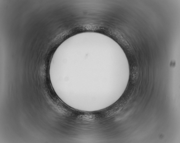 X0000096180639200802151442