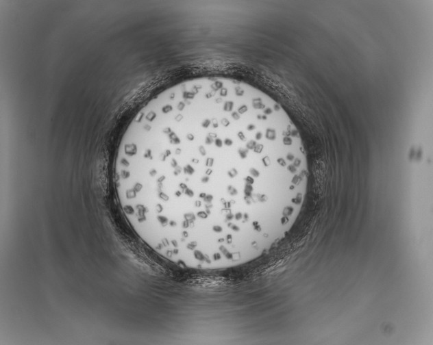 X0000096180642200802151442