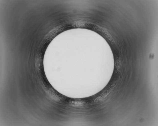 X0000096180645200802151442