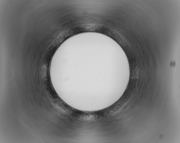 X0000096180646200802151442