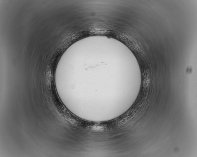 X0000096180647200802151442