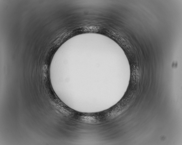 X0000096180649200802151442