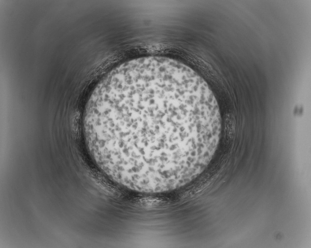 X0000096180650200802151442
