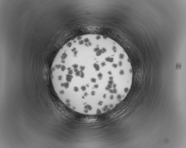 X0000096180651200802151442