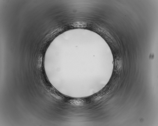X0000096180652200802151442