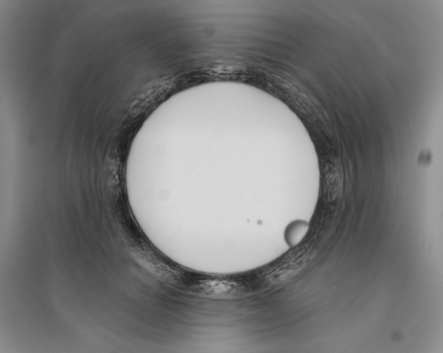 X0000096180654200802151442