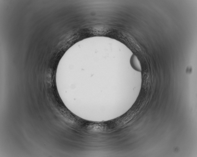 X0000096180655200802151442