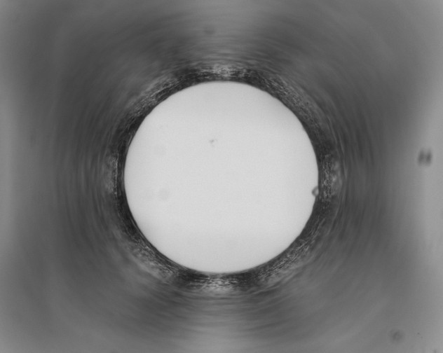 X0000096180656200802151442